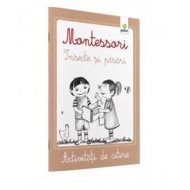 INSECTE ȘI PĂSĂRI, ACTIVITĂȚI DE CITIRE - MONTESSORI