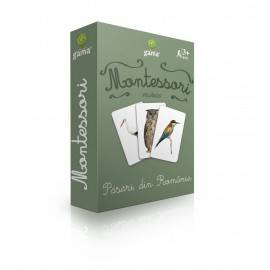 PĂSĂRI DIN ROMÂNIA - VOCABULAR MONTESSORI