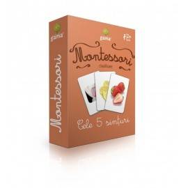 CELE 5 SIMȚURI - CLASIFICARE MONTESSORI