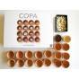 COPA