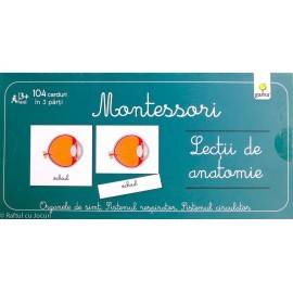 LECȚII DE ANATOMIE - ORGANE DE SIMȚ - MONTESSORI