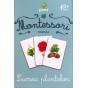 LUMEA PLANTELOR - VOCABULAR MONTESSORI