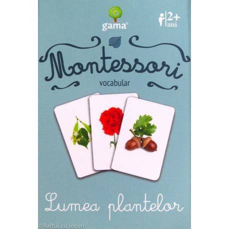 LUMEA PLANTELOR - VOCABULAR MONTESSORI