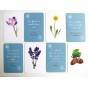 LUMEA PLANTELOR - VOCABULAR MONTESSORI