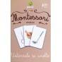 USTENSILE ȘI UNELTE - VOCABULAR MONTESSORI