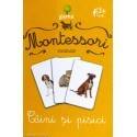 CÂINI ȘI PISICI - VOCABULAR MONTESSORI