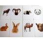 ANIMALE - ASOCIERI MONTESSORI