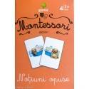 NOȚIUNI OPUSE - ASOCIERI MONTESSORI