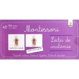 LECȚII DE ANATOMIE - ORGANELE INTERNE - MONTESSORI